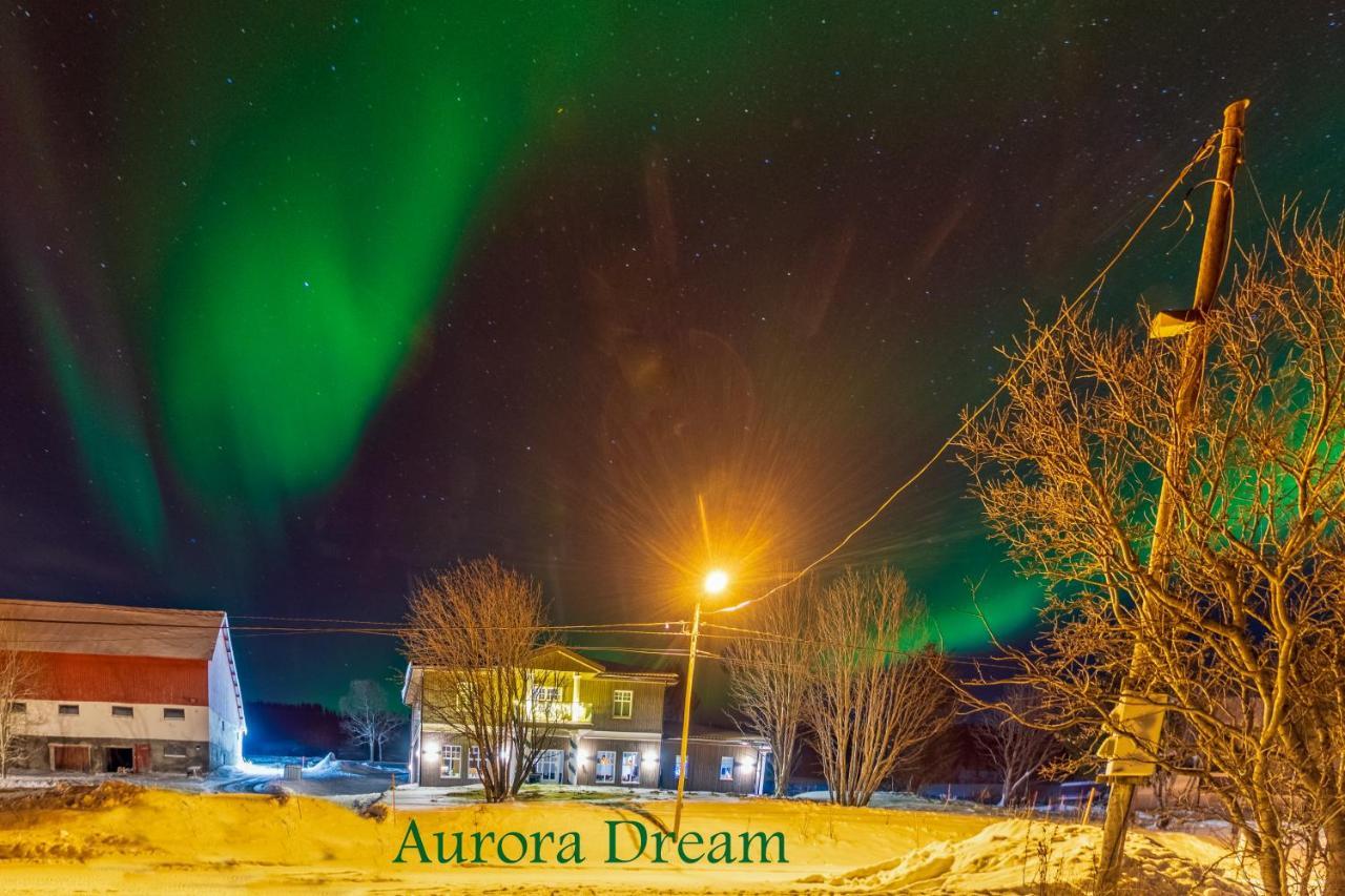 Aurora Dream Lejlighed Svensby Eksteriør billede